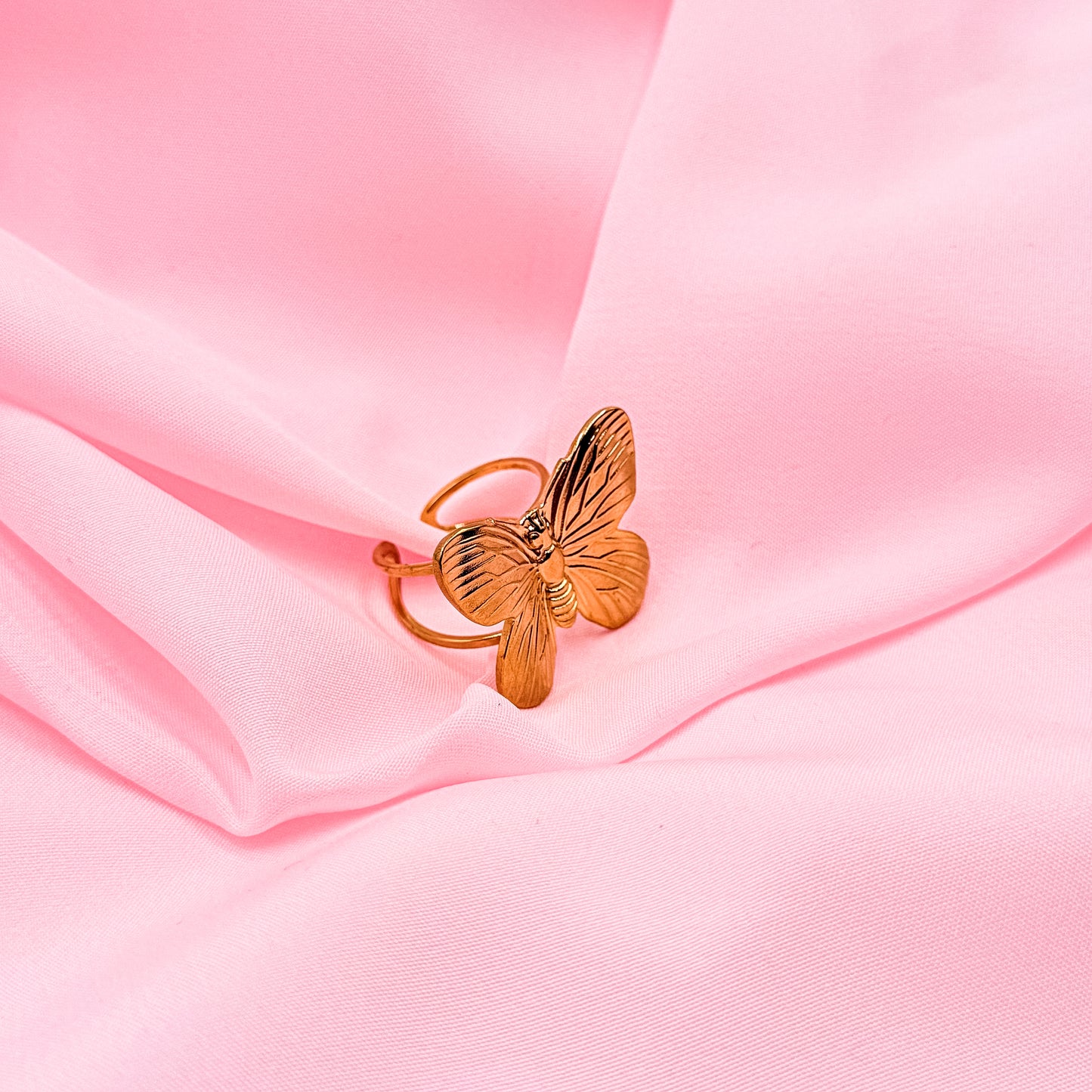 Butterfly Bloom