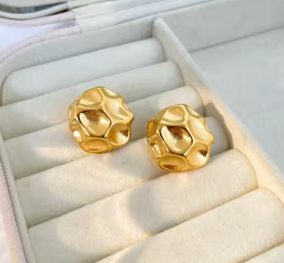 Meteorite Earrings