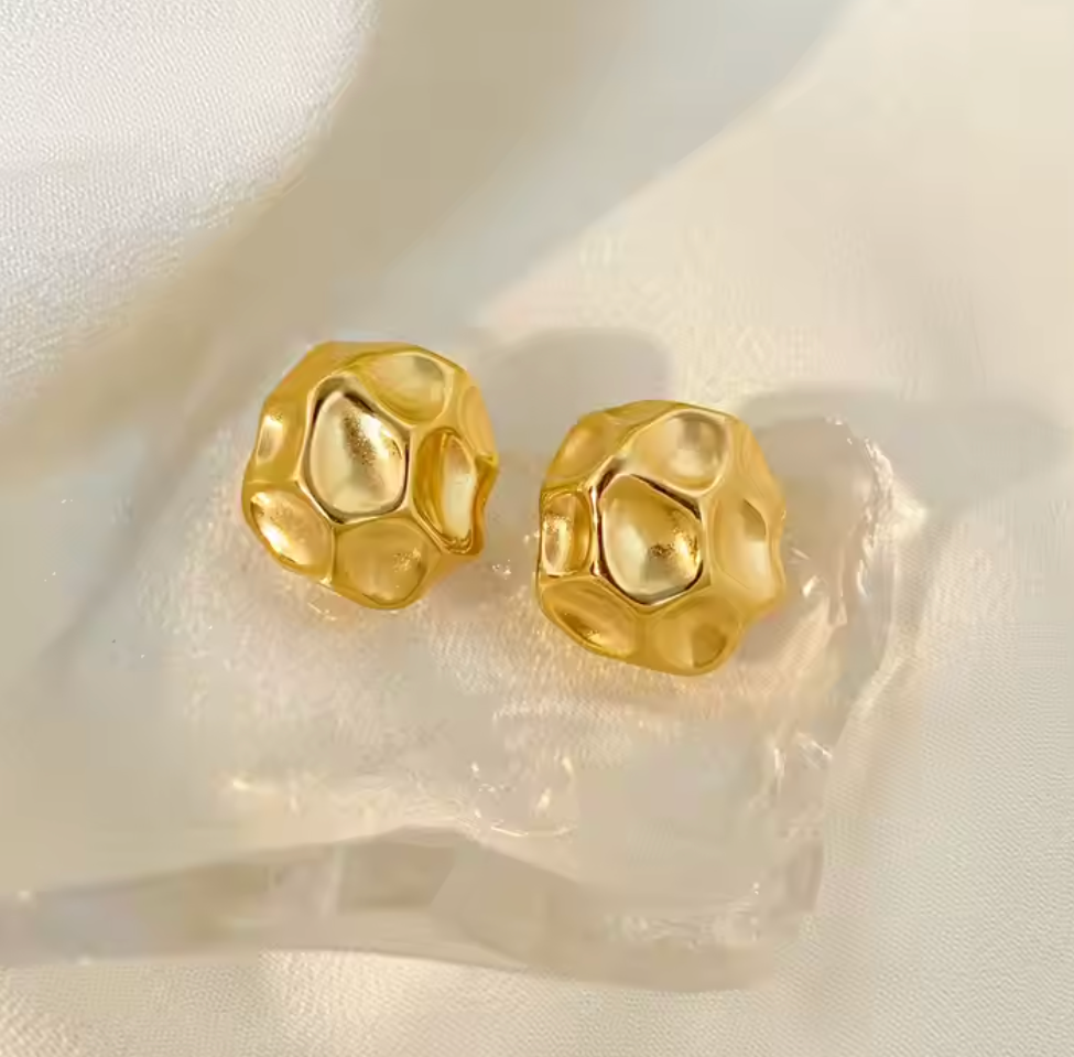 Meteorite Earrings