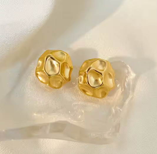 Meteorite Earrings